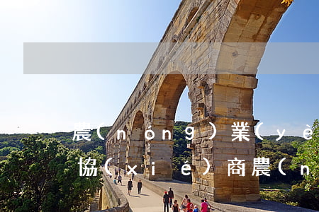 農(nóng)業(yè)信用卡逾期怎樣協(xié)商(農(nóng)業(yè)銀行信用卡逾期了怎么能協(xié)商分期還款)