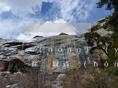 農(nóng)業(yè)信用卡逾期能消除嗎(取消農(nóng)業(yè)銀行信用卡)