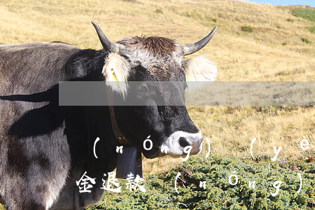 農(nóng)業(yè)信用卡逾期違約金退款(農(nóng)業(yè)信用卡3萬多逾期)