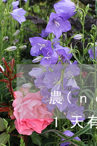 農(nóng)業(yè)信用卡逾期還款1天有影響嗎(農(nóng)業(yè)銀行還貸款逾期一天會(huì)影響征信嗎)
