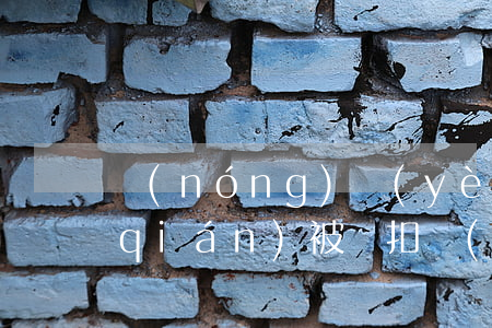 農(nóng)業(yè)信用卡逾期錢(qián)被劃扣(農(nóng)行信用卡逾期扣款)