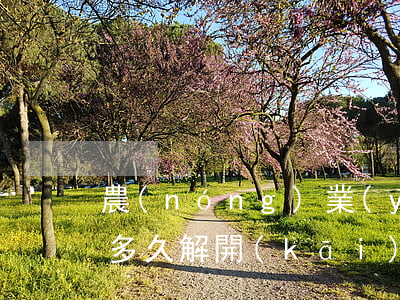 農(nóng)業(yè)信用卡逾期鎖卡多久解開(kāi) 農(nóng)業(yè)銀行的卡鎖住了,什么時(shí)候能解鎖