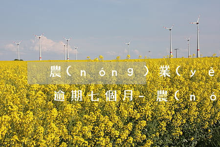 農(nóng)業(yè)信用卡額度兩萬逾期七個月-農(nóng)業(yè)信用卡額度兩萬逾期七個月會怎么樣