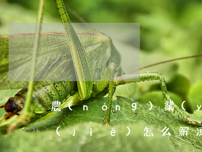 農(nóng)業(yè)信用幣逾期凍結(jié)怎么解凍（農(nóng)業(yè)信用卡逾期解凍成功的嗎）