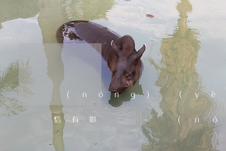 農(nóng)業(yè)卡逾期五個月征信有影響嗎-農(nóng)業(yè)卡逾期五個月征信有影響嗎知乎