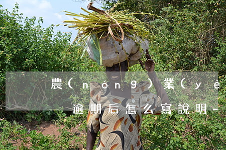 農(nóng)業(yè)商業(yè)承兌逾期后怎么寫說明-