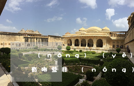 農(nóng)業(yè)戶口取消的好處有哪些（非農(nóng)業(yè)戶口主要權(quán)益有哪些呢）