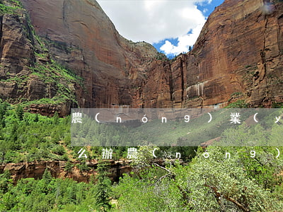 農(nóng)業(yè)房貸逾期一天怎么辦(農(nóng)業(yè)銀行還房貸逾期一天有沒有影響?)