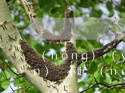 農(nóng)業(yè)貸款十萬(wàn)還不起(農(nóng)業(yè)貸款十萬(wàn)還不起)