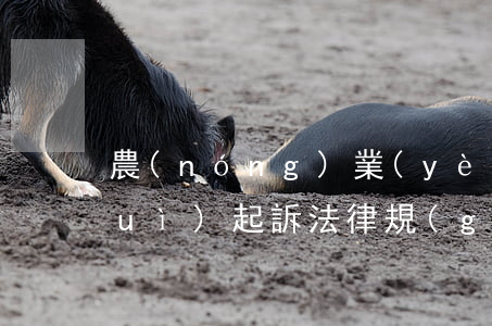 農(nóng)業(yè)逾期多久會(huì)起訴(法律規(guī)定逾期多久才可以起訴)
