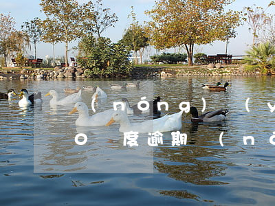 農(nóng)業(yè)銀行信用卡200額度逾期(農(nóng)業(yè)銀行信用卡8000逾期)