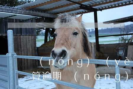 農(nóng)業(yè)銀行信用卡一天算逾期(農(nóng)業(yè)銀行信用卡一天算逾期嗎)