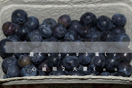 農(nóng)業(yè)銀行信用卡不小心逾期2天 農(nóng)業(yè)銀行信用卡不小心逾期2天