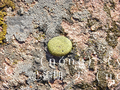 農(nóng)業(yè)銀行信用卡不小心逾期幾天(農(nóng)業(yè)銀行信用卡不小心逾期幾天)