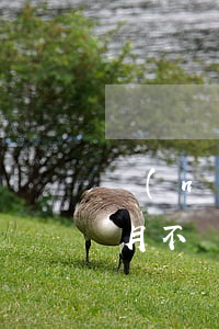 農(nóng)業(yè)銀行信用卡二個月不還(預(yù)期的農(nóng)業(yè)銀行信用卡還了還能用嗎)