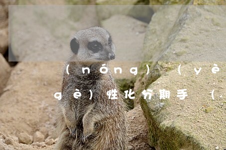 農(nóng)業(yè)銀行信用卡個(gè)性化分期手續(xù)費(fèi)-農(nóng)業(yè)銀行信用卡個(gè)性化分期手續(xù)費(fèi)是多少