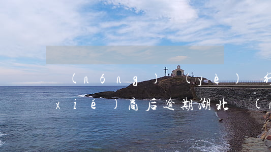 農(nóng)業(yè)銀行信用卡協(xié)商后逾期(湖北農(nóng)商行信用卡逾期)
