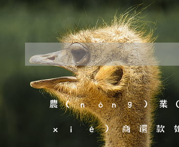 農(nóng)業(yè)銀行信用卡協(xié)商還款如何開頭-農(nóng)業(yè)銀行信用卡協(xié)商還款如何開頭催收