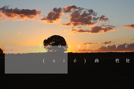 農(nóng)業(yè)銀行信用卡可以協(xié)商個性化分期嗎-農(nóng)業(yè)銀行信用卡可以協(xié)商個性化分期嗎