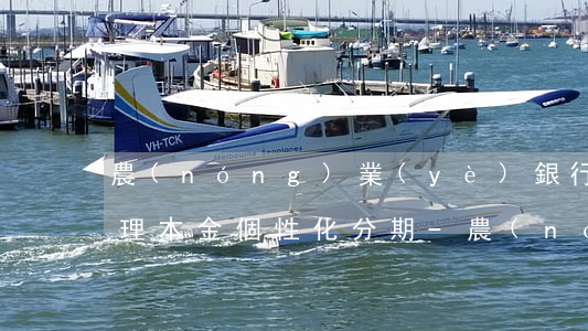 農(nóng)業(yè)銀行信用卡可辦理本金個性化分期-農(nóng)業(yè)銀行信用卡可辦理本金個性化分期還款嗎