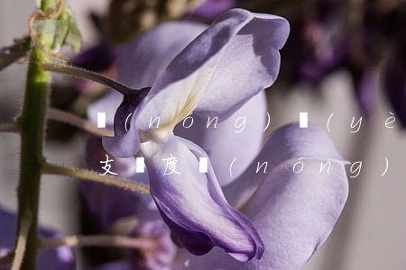 農(nóng)業(yè)銀行信用卡可透支額度(農(nóng)業(yè)銀行高額度信用卡)
