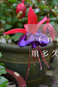 農(nóng)業(yè)銀行信用卡寬限期多久算逾期-農(nóng)業(yè)銀行信用卡寬限期多久算逾期了