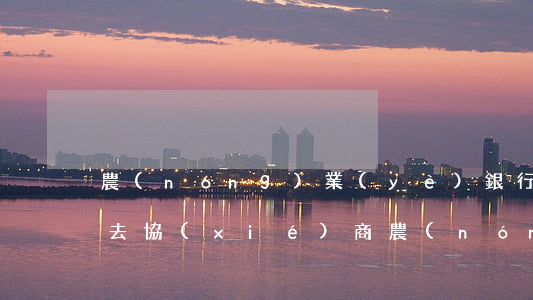 農(nóng)業(yè)銀行信用卡怎么去協(xié)商(農(nóng)業(yè)銀行信用卡怎么協(xié)商還本金)