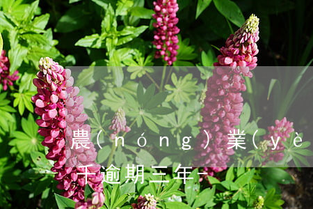 農(nóng)業(yè)銀行信用卡欠兩千逾期三年-