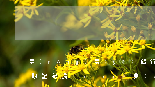 農(nóng)業(yè)銀行信用卡的逾期記錄(農(nóng)業(yè)銀行信用卡4000逾期一年)