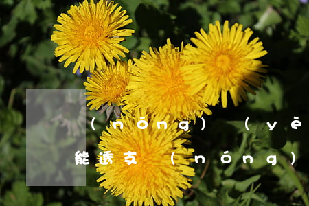 農(nóng)業(yè)銀行信用卡能不能透支(農(nóng)商銀行卡可以透支嗎)