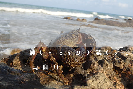 農(nóng)業(yè)銀行信用卡透支兩個月