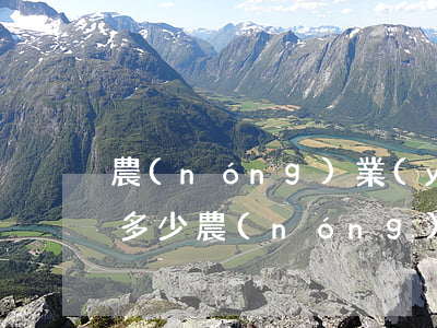 農(nóng)業(yè)銀行信用卡透支多少(農(nóng)行金卡可以透支多少錢)
