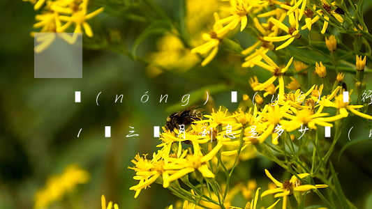 農(nóng)業(yè)銀行信用卡逾期1萬三個月,利息是多少（農(nóng)業(yè)銀行信用卡逾期1萬）