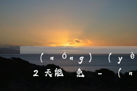 農(nóng)業(yè)銀行信用卡逾期2天能減免嗎-農(nóng)業(yè)銀行信用卡逾期2天能減免嗎怎么辦