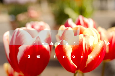 農(nóng)業(yè)銀行信用卡逾期2天(農(nóng)業(yè)銀行信用卡逾期2天會有不良記錄嗎)