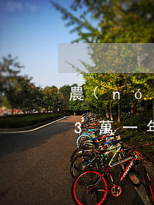 農(nóng)業(yè)銀行信用卡逾期3萬一年(農(nóng)業(yè)銀行信用卡逾期3萬一年)