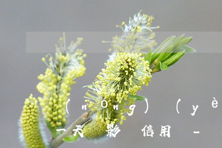 農(nóng)業(yè)銀行信用卡逾期一天會影響信用嗎-農(nóng)業(yè)銀行信用卡逾期一天會影響信用嗎