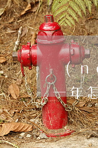 農(nóng)業(yè)銀行信用卡逾期一年怎么辦-農(nóng)業(yè)銀行信用卡逾期一年怎么辦理