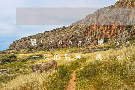 農(nóng)業(yè)銀行信用卡逾期一次的后果-農(nóng)業(yè)銀行信用卡逾期一次的后果是什么