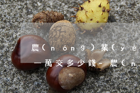 農(nóng)業(yè)銀行信用卡逾期一萬交多少錢-農(nóng)業(yè)銀行信用卡逾期一萬交多少錢利息