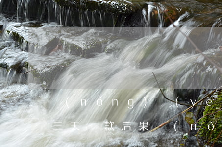 農(nóng)業(yè)銀行信用卡逾期三天還款后果(農(nóng)業(yè)信用卡3萬多逾期)
