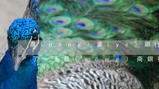 農(nóng)業(yè)銀行信用卡逾期了一天(農(nóng)商銀行信用卡逾期)