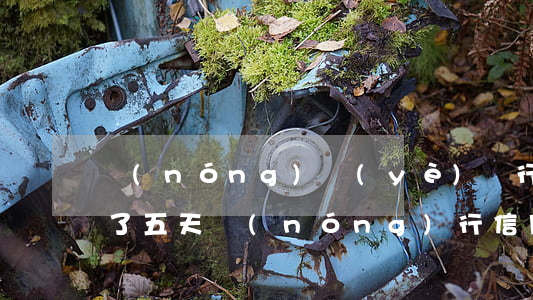 農(nóng)業(yè)銀行信用卡逾期了五天(農(nóng)行信用卡 逾期一天)