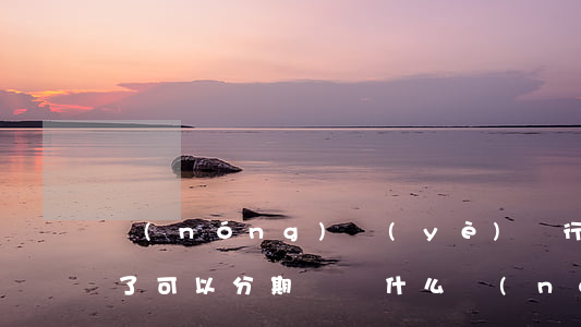 農(nóng)業(yè)銀行信用卡逾期了可以分期嗎(為什么農(nóng)業(yè)銀行信用卡不能分期)