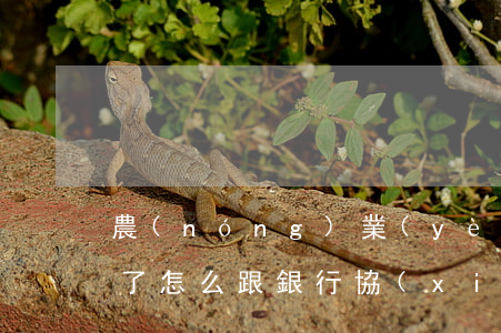 農(nóng)業(yè)銀行信用卡逾期了怎么跟銀行協(xié)商解決-農(nóng)業(yè)銀行信用卡逾期了怎么跟銀行協(xié)商解決分期