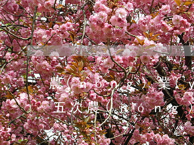農(nóng)業(yè)銀行信用卡逾期五次(農(nóng)行信用卡逾期5天會不會有什么影響嗎)