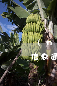 農(nóng)業(yè)銀行信用卡逾期信息通知 農(nóng)業(yè)銀行信用卡逾期信息通知