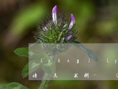 農(nóng)業(yè)銀行信用卡逾期修復真實案例-農(nóng)業(yè)銀行信用卡逾期修復真實案例分享