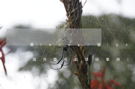 農(nóng)業(yè)銀行信用卡逾期個月委托給律師事務(wù)所 為什么農(nóng)業(yè)信用卡逾期幾個月都起訴了