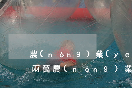 農(nóng)業(yè)銀行信用卡逾期兩萬(農(nóng)業(yè)銀行信用卡逾期兩個月,后果會怎么樣)